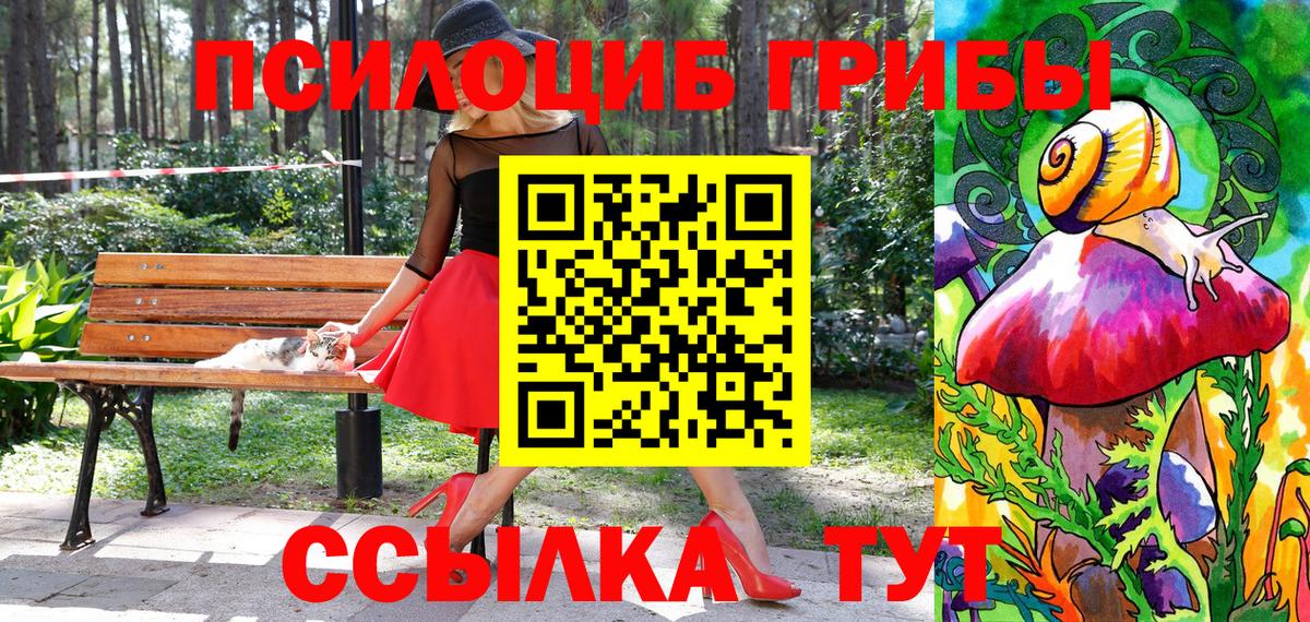 Галлюциногенные грибы Psilocybine cubensis Тулун